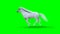 Runing white horse. Green screen. 3d rendering.