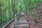 Runner on boardwalk on the trail leading to Rangitoto summit