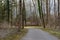 Runner on gravel path in riparian woodland in springtime