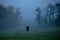 Runner in grey autumn misty morning, active life even