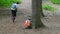 Runner pass orienteering checkpoint in a forest. Position of a trail running sport
