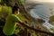 Runner rests on a viewpoint overlooking the beach.