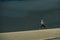 Runner on Sand Dunes