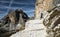 Runner training in Italian Dolomites on a rocky trail