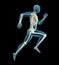 Runners skeleton