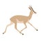 Running antelope,vector illustration ,flat style, profile