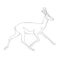 Running antelope,vector illustration , lining draw ,profile