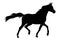 Running Arabian horse silhouette ~