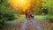 Running athletes in the park on a run in the early morning. Several children are running in the woods doing sports