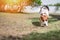 Running beagle dog with tennis ball