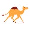 Running camel icon, cartoon style