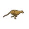 Running Cheetah isolated vector illustration