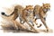 Running Cheetahs watercolor, Beautiful Animal in Wildlife. Isolate on white background