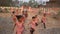 Running children in compitation Indian government school having real smile on their face under the boundary