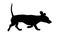 Running dachshund puppy. Black dog silhouette. Wiener dog or sausage dog. Pet animals. Isolated on a white background