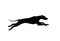 Running dog silhouette in black color