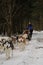 Running with dogs for endurance and long distance competitions. January 24, 2023 Moscow Russia. Musher woman stands on