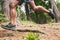 Running, fitness and legs of man in forest for marathon training, exercise and cardio workout. Sports, nature and feet