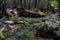 Running glacier melt water in a shallow stream along the Trail of Cedars path to Avalanche Lake in Glacier National Park