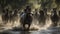 Running herd of horses splashing through water generated by AI