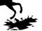 Running horse legs with hooves close-up and puddle of mud with splashes flying from under hooves. Black vector