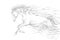 Running horse, line drawing, gray pencil sketch. vector illustration.