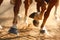 Running Horses Hooves