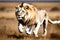 RUNNING LION IN FIELD GENERATED BY AI TOOL