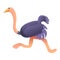 Running ostrich icon, cartoon style