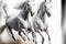 Running over a white background are stunning white arabian horses