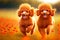 running red smiling little poodles against blurry field