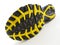 Running Shoe with yellow and black tread pattern