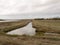 Running stream through farm land grey sky