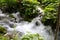 Running stream in Plitvice, Croatia