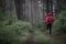 Running stretching. Athlete in the morning forest doing workout