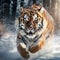 Running tiger with snowy Tiger in wild winter Amur tiger running in the Action wildlife danger animal