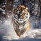 Running tiger with snowy Tiger in wild winter Amur tiger running in the Action wildlife danger animal