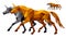 running unicorn, isolated amber image on white background