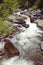 Running water beneath Pines as creek runs through Payette national Forest near McCall Idaho