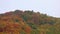 Running white clouds over a colorful autumn forest.