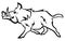 Running wild boar. Black and white vector illustration of a stylized boar. Drawing of a wild animal for hunting. Tattoo.