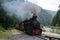 Running wood-burning locomotive of Mocanita