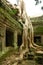 Runs of ancient Cambodian temple