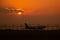 Runway, plane with evening sun