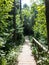 Runway or trail of the Aiguestortes and Sant Maurici National Park, road of the Pond of Sant Maurici, Catalonia, Spain