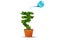 Rupee Money Plant Rupee Symbol