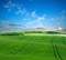 Rural agricultural landscape, green field on background sky