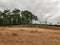 Rural area meadow amidst rolling hills and cloudy sky