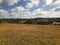 Rural area meadow amidst rolling hills and cloudy sky