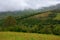 rural area in mountains. misty september morning